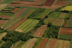 poljoprivredno-zemljiste(6)